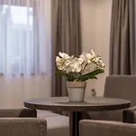 Miramonte ゲストハウス