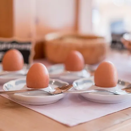 게스트하우스 Miramonte 3*